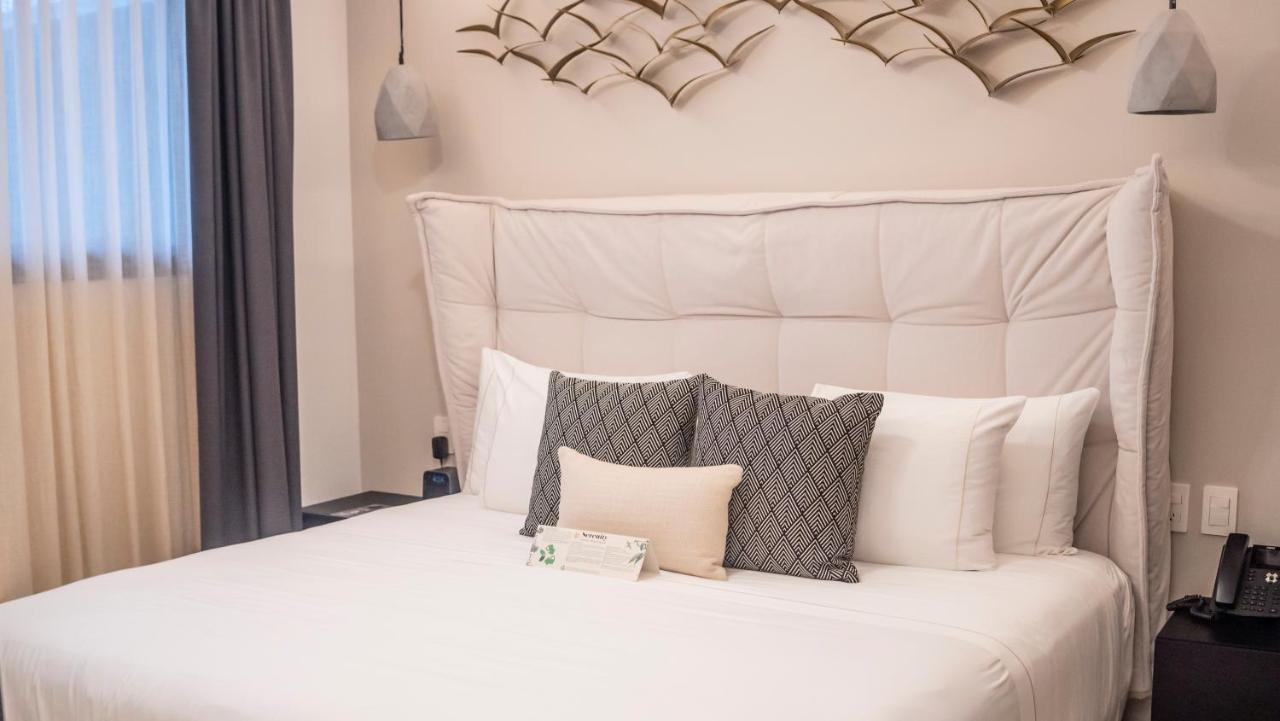 One Bedroom Suite