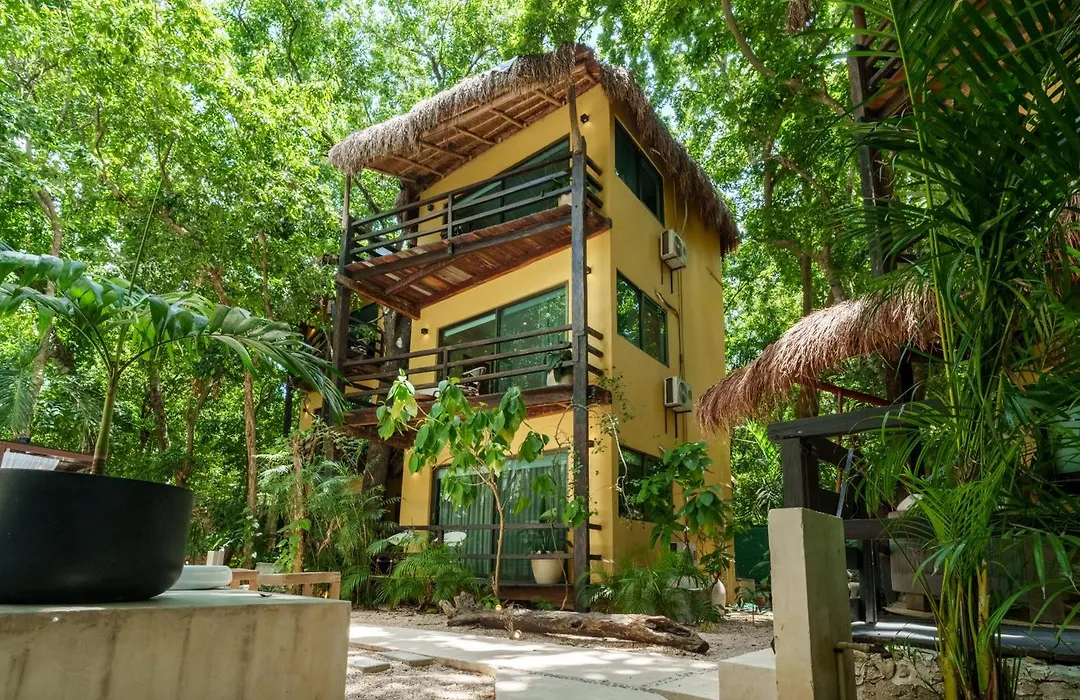 Terasu Riviera Maya Hotel & Spa, En Xcaret-1