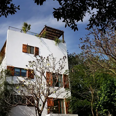 Hotel La Semilla A Member Of Design Hotels (Adults Only)-2