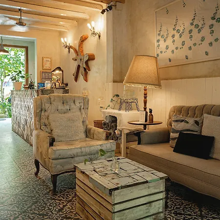 Hotel La Semilla A Member Of Design Hotels (Adults Only)-3