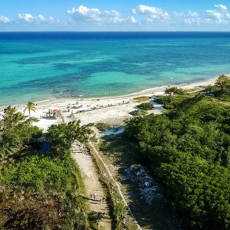 Ocean Zen Suites On 5Th Avenue - Adults Only-3