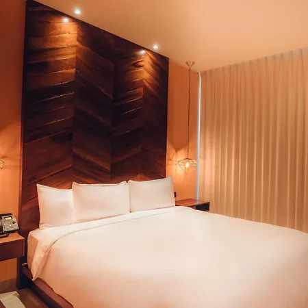 Calixta Hotel-3
