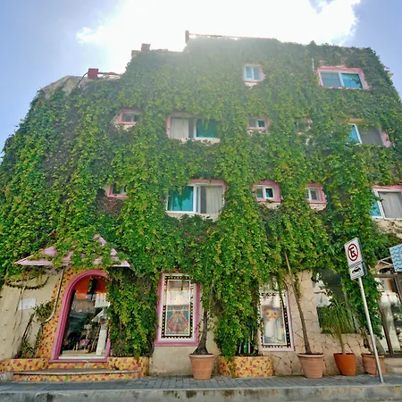 Boutique Hotel Delfin 5Th Avenue-2