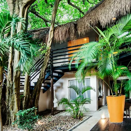 La Tortuga Hotel & Spa - Adults Only-3